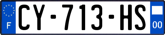 CY-713-HS