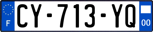 CY-713-YQ