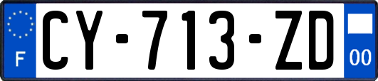 CY-713-ZD
