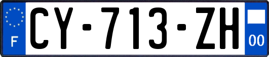 CY-713-ZH
