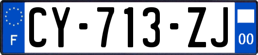 CY-713-ZJ