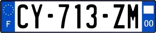 CY-713-ZM