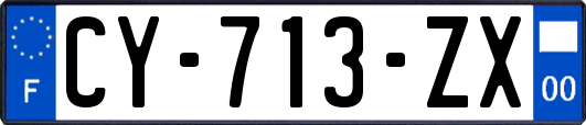 CY-713-ZX