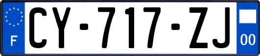 CY-717-ZJ