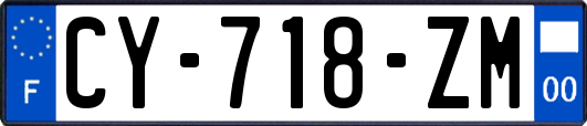CY-718-ZM