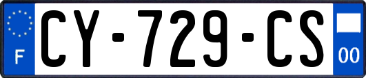 CY-729-CS