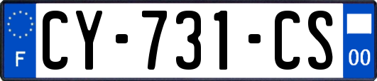 CY-731-CS