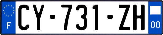 CY-731-ZH