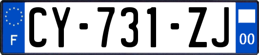 CY-731-ZJ