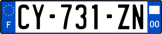 CY-731-ZN
