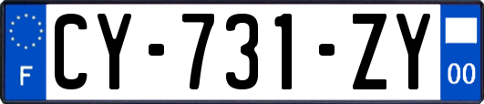 CY-731-ZY