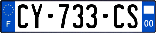 CY-733-CS