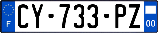 CY-733-PZ