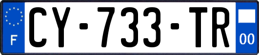 CY-733-TR