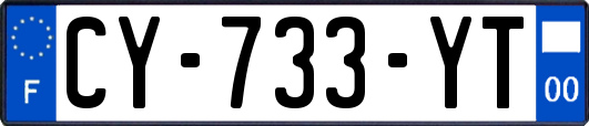 CY-733-YT