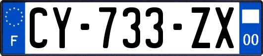 CY-733-ZX