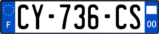 CY-736-CS