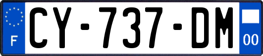 CY-737-DM