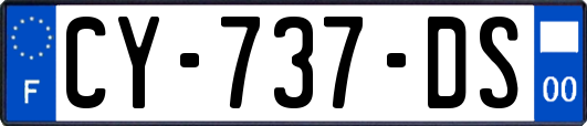 CY-737-DS