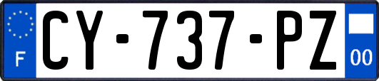 CY-737-PZ