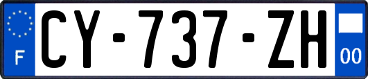 CY-737-ZH