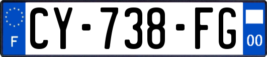 CY-738-FG