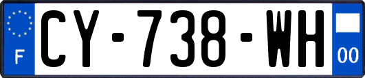 CY-738-WH