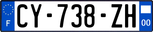 CY-738-ZH