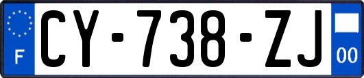 CY-738-ZJ