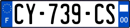 CY-739-CS