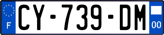 CY-739-DM