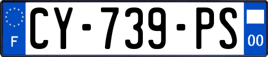 CY-739-PS