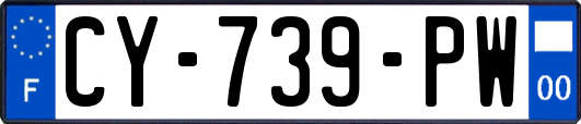 CY-739-PW