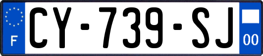 CY-739-SJ