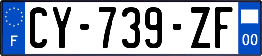 CY-739-ZF