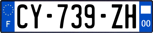 CY-739-ZH
