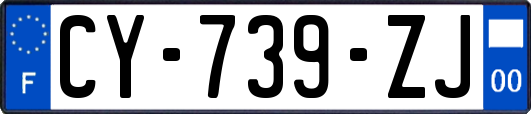 CY-739-ZJ