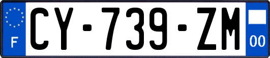 CY-739-ZM