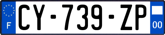 CY-739-ZP