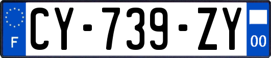 CY-739-ZY