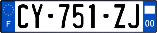 CY-751-ZJ