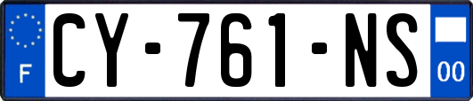 CY-761-NS