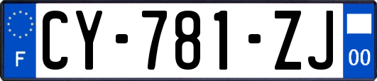 CY-781-ZJ