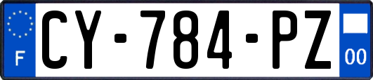 CY-784-PZ