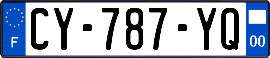 CY-787-YQ