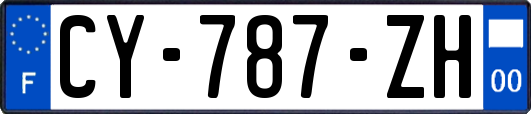 CY-787-ZH