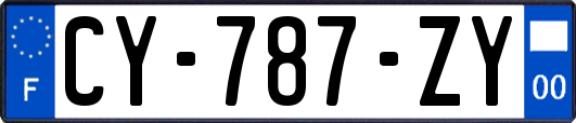 CY-787-ZY