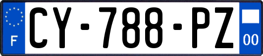 CY-788-PZ