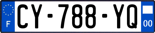 CY-788-YQ