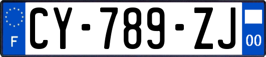 CY-789-ZJ